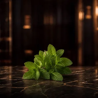 Menta